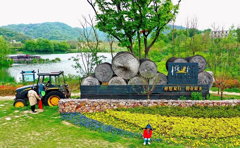 南京免费景点排行榜前十名,南京旅游年卡免费景点一览表