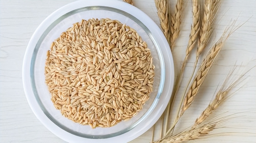 最佳减肥食谱12种天然减肥食物,减肥吃什么食物能快速瘦下来