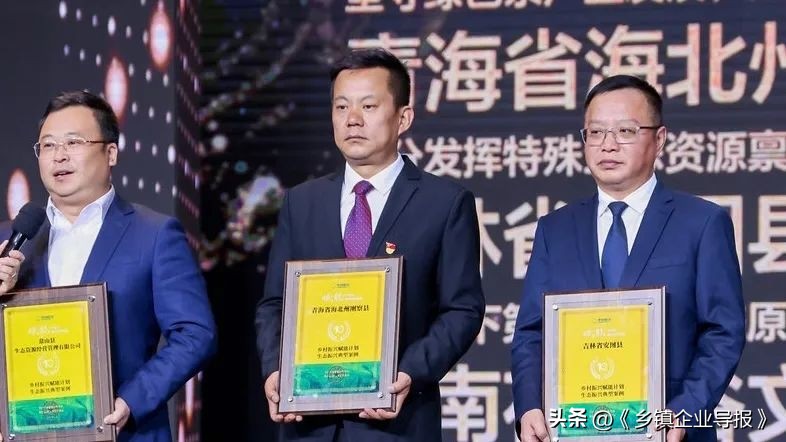 乡村振兴赋能计划人才典型案例,乡村振兴之文化振兴案例