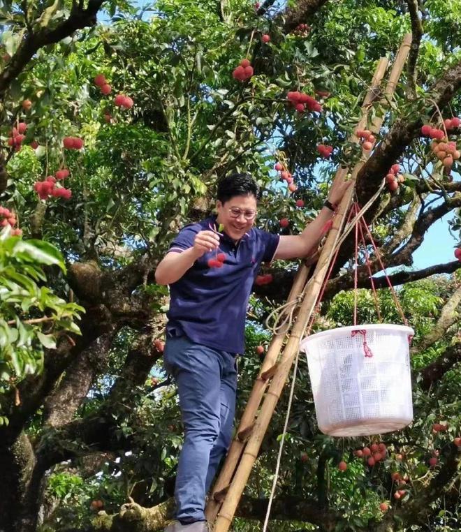 郭晶晶下嫁霍家后为何如此低调,下嫁霍启刚的郭晶晶曝光家庭地位