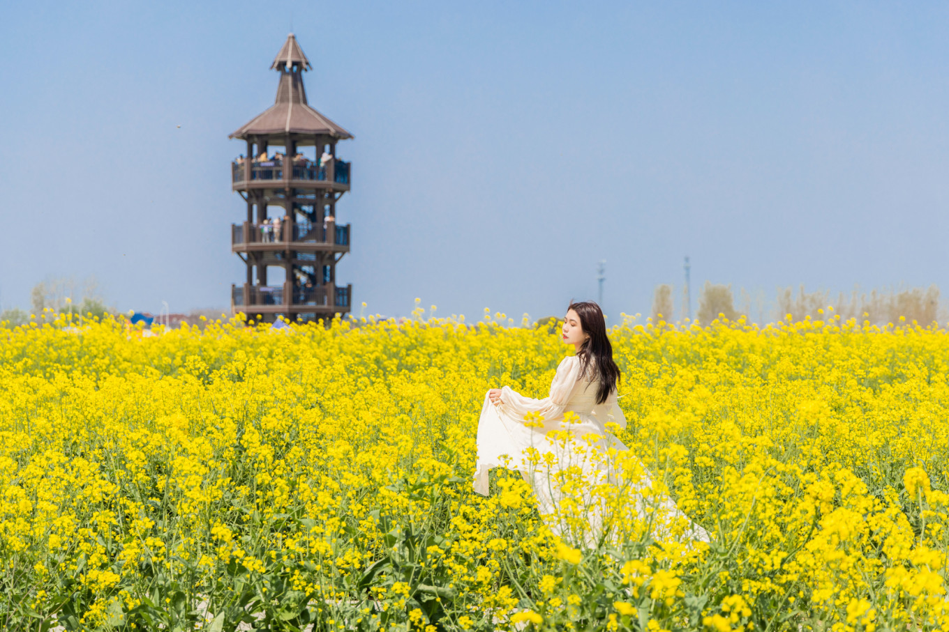 春日下江南杭州,春日下江南古镇
