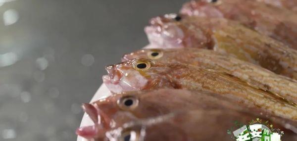 来大连旅游吃美食,来旅顺吃火锅