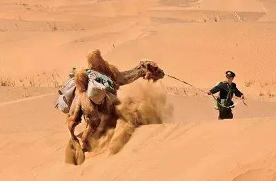 对赚钱毫不在意却年入6000亿，中国最佛系快递凭啥吊打美国邮政？