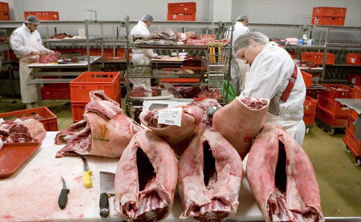 大叔创业亏百万靠帮人省钱逆袭,大叔坚持养殖创业4年