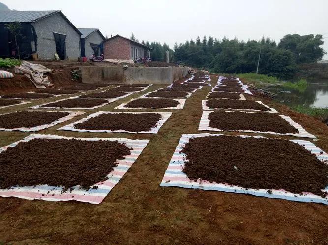 十个养殖项目,新手养殖什么项目最好