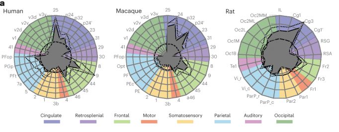 脑科学与阿尔茨海默症,脑科学治疗阿尔兹海默症