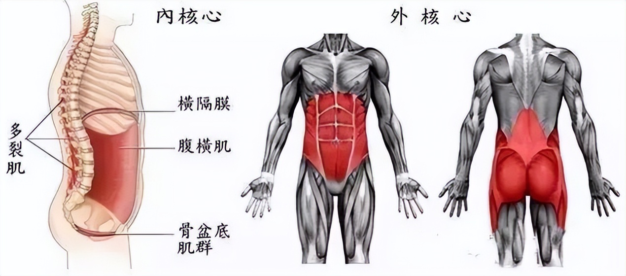 脊柱锻炼三个思路,脊柱劳损正确锻炼方法