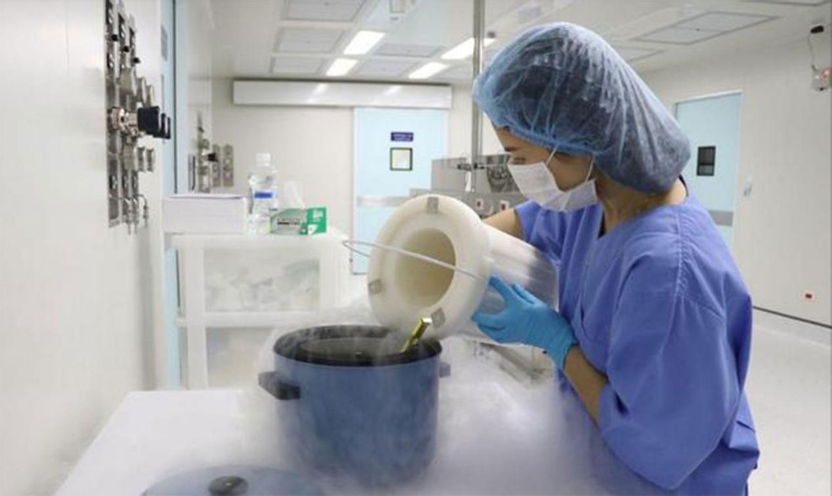 人工授精专用针管,英国妇女试管婴儿