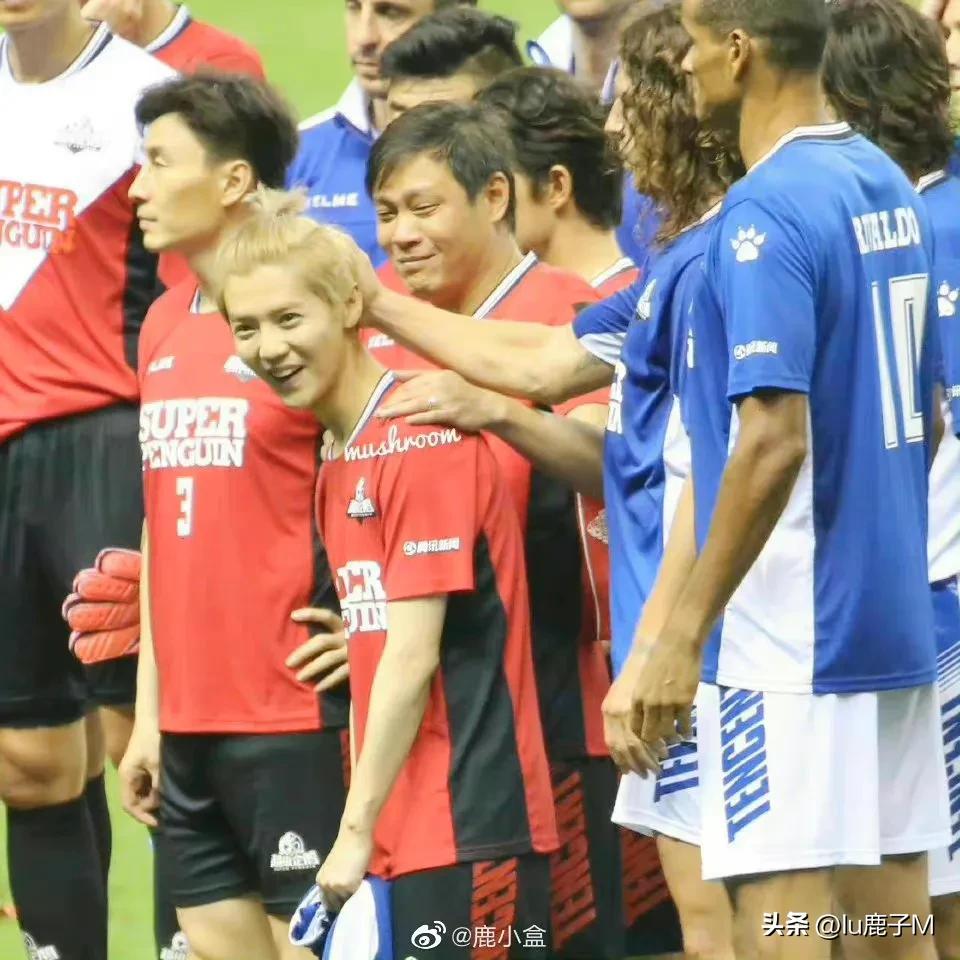 鹿晗范志毅对打拳击,鹿晗范志毅搭档