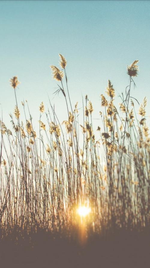 时光流逝蓦然回首散文,岁月微凉的经典散文