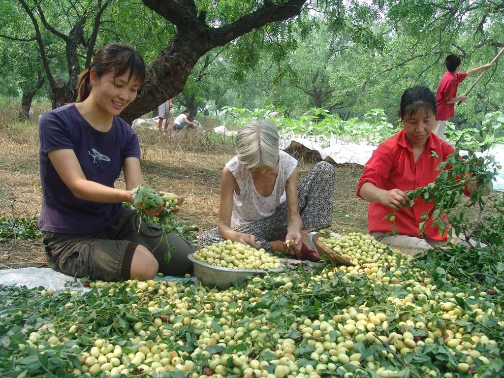 解锁乡村致富密码,想知道发财的秘密吗