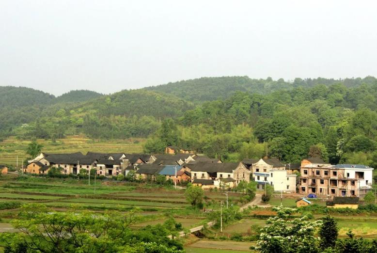 不管家里有多穷这三样东西不能留,不管家里有没有钱只要开心就好