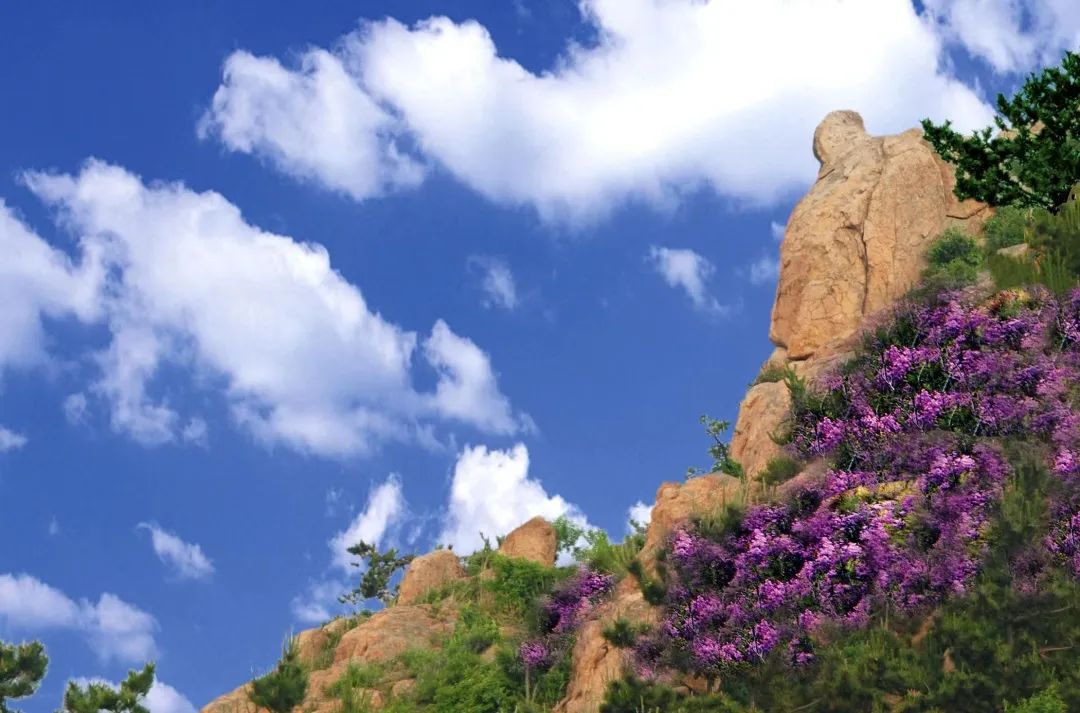 青岛市城阳区冬季旅游产品专区上线美团