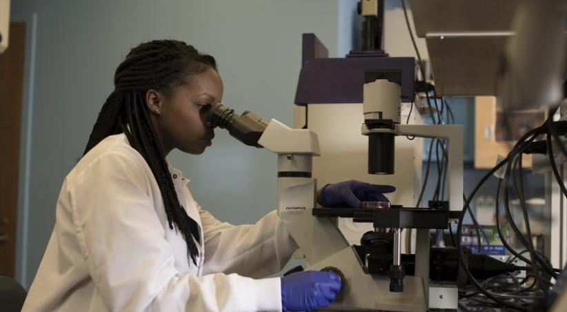 12年花费千万卷进藤校，没想到却是幻灭的开始！哥大博士大实话扎心了