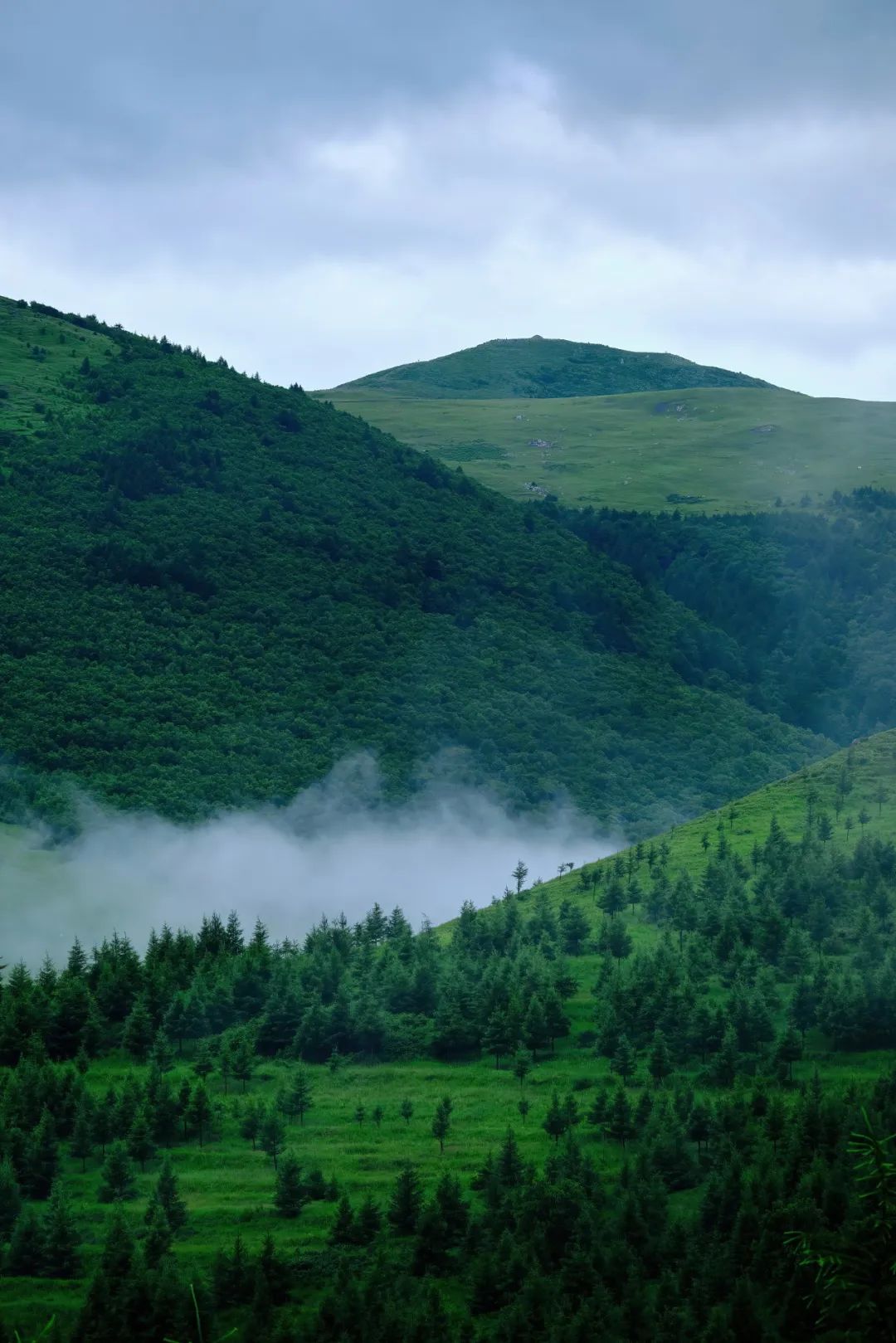 哪才算真正的北京,真实的北京现状