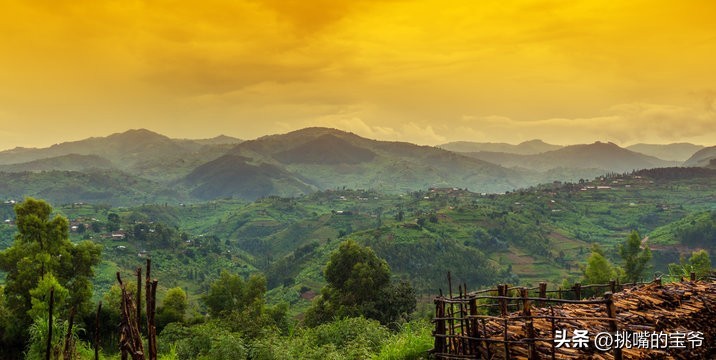 坐拥10亿亩耕地，被誉为非洲心脏的非洲第二大国，8种奇珍异果