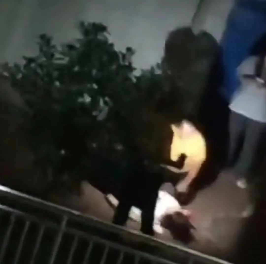 高校回应女生坠楼身亡事件,高校回应一女生坠楼身亡