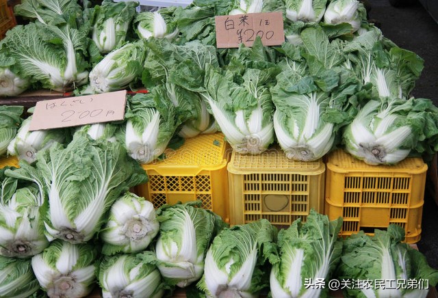 疫情之下老百姓日子怎么过,此次疫情对百姓生活影响多大