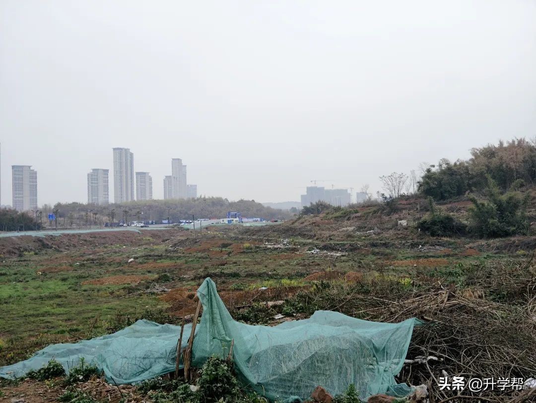 刚刚！石室、泡小官宣落户天府新区，王炸来了