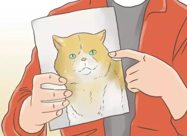 猫咪走丢土方法,猫咪走丢怎么缓解情绪