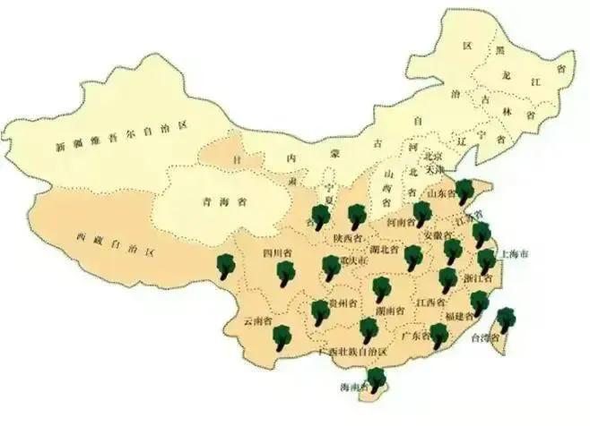 茶知识茶叶的种类有哪些,茶叶的种类及代表茶叶