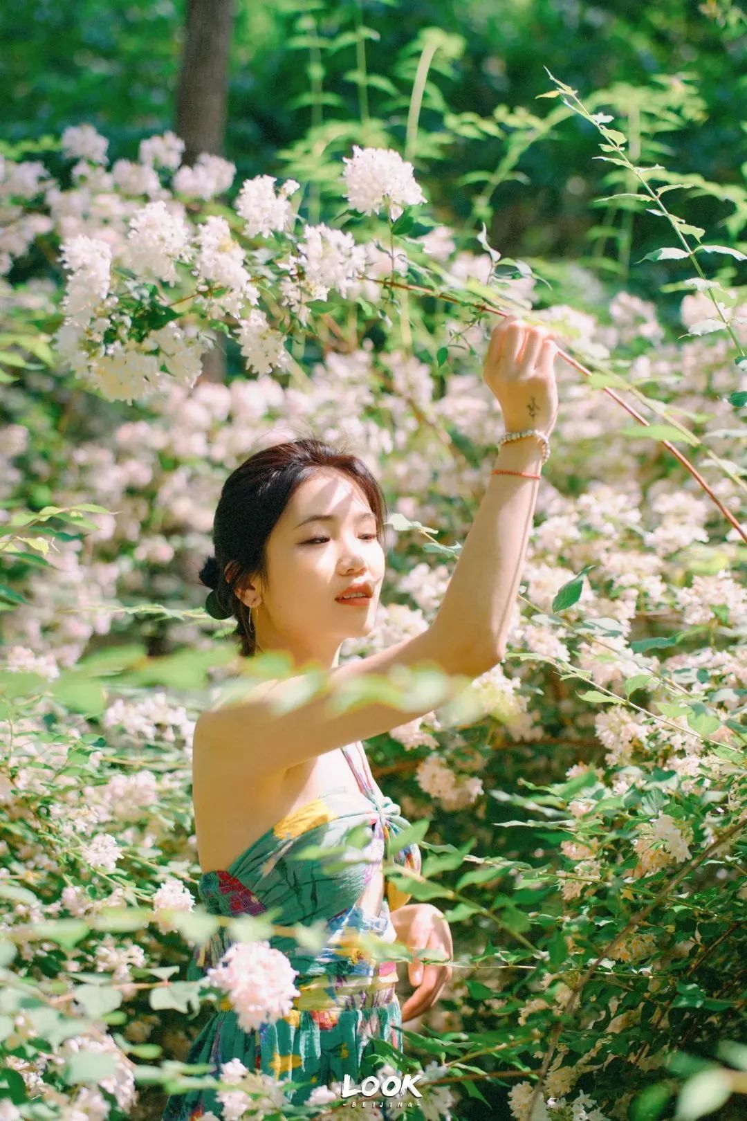 北京居庸关花海栈道,北京四季花海景区