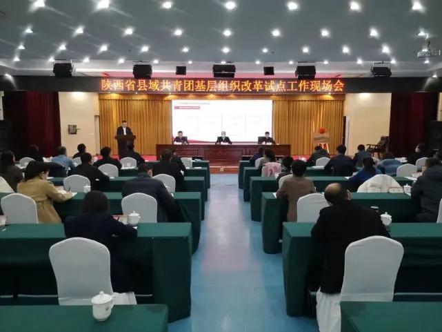 团团工作回顾,团团现在的工作