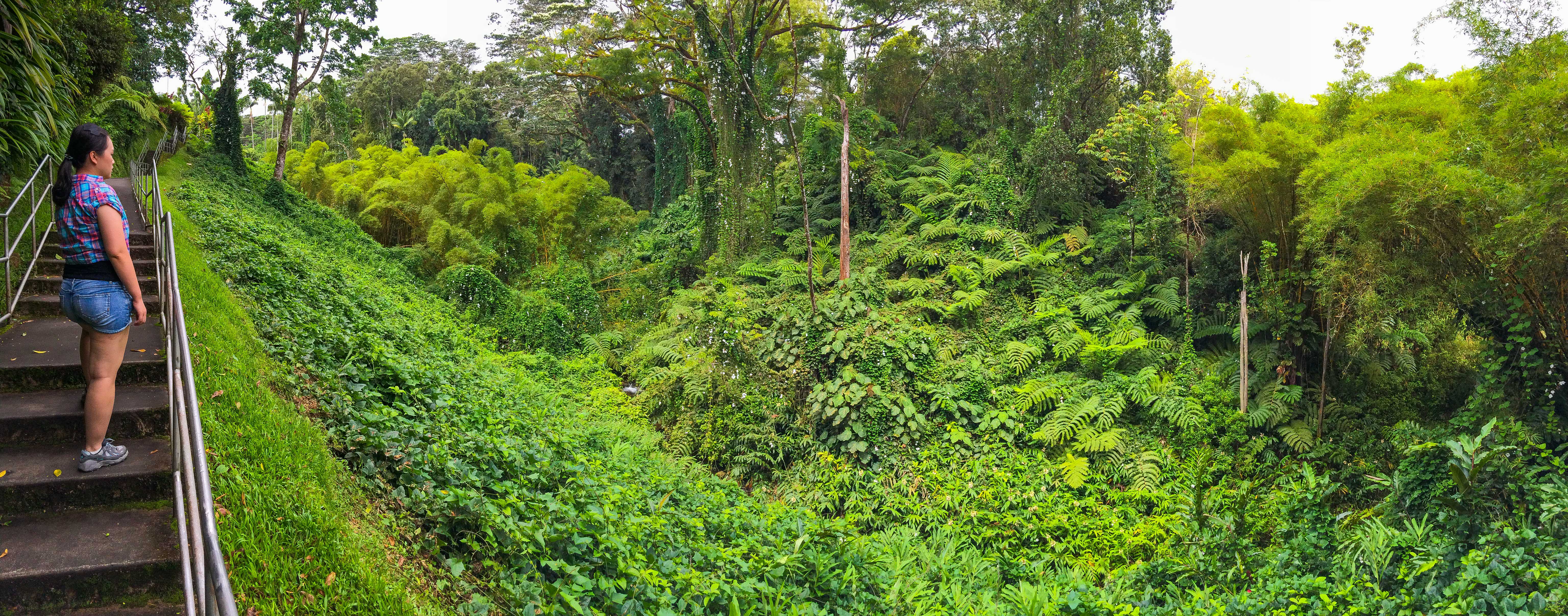 美国风光之夏威夷,夏威夷哪个岛适合度假