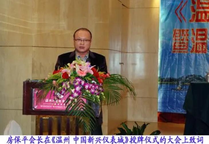 浙江第一高楼背后的女人,浙江第一高楼背后的温州夫妇