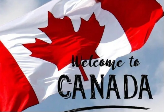加拿大商务签证为什么审理这么慢 (加拿大现在办理商务签证多久出签)