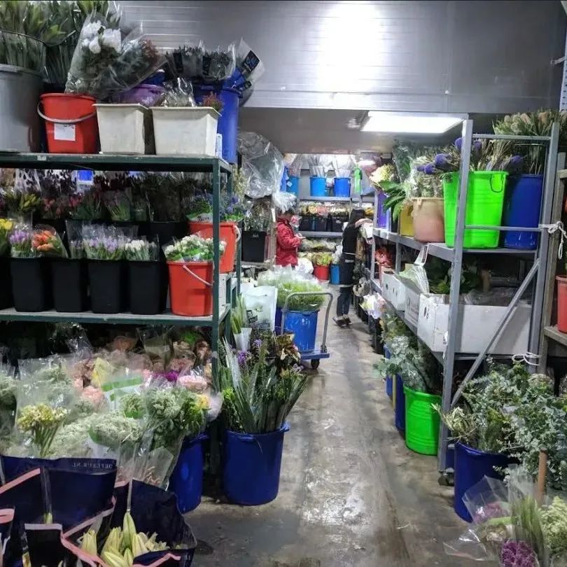 新手必看鲜花养护攻略,鲜花在水里能养几天会死