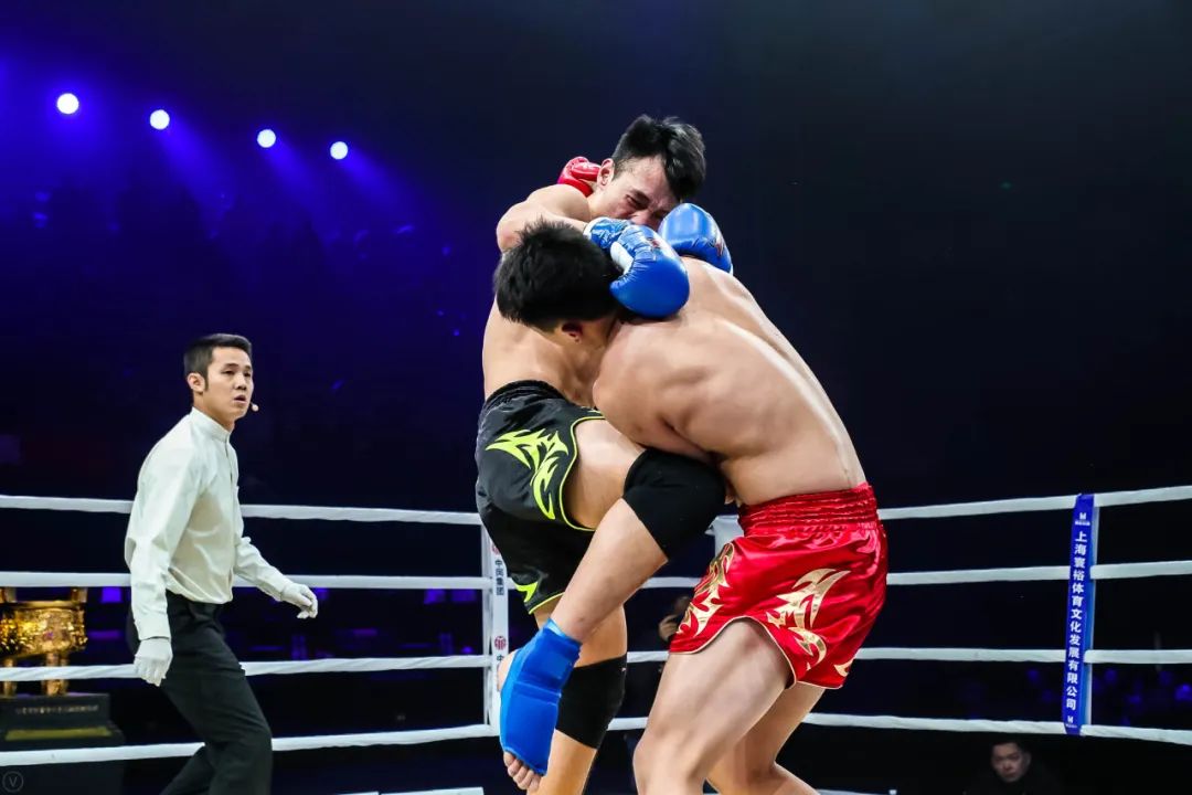 传统武术与搏击术的实战,中国武术搏击所有拳法