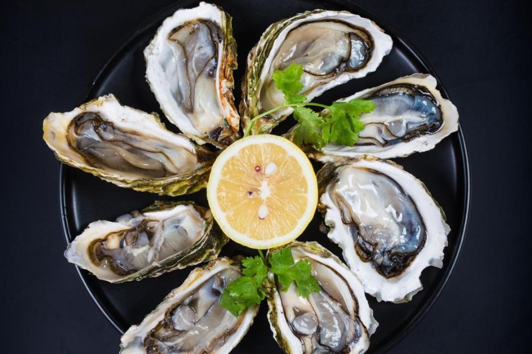 新西兰海鲜一览表,世界海鲜图片