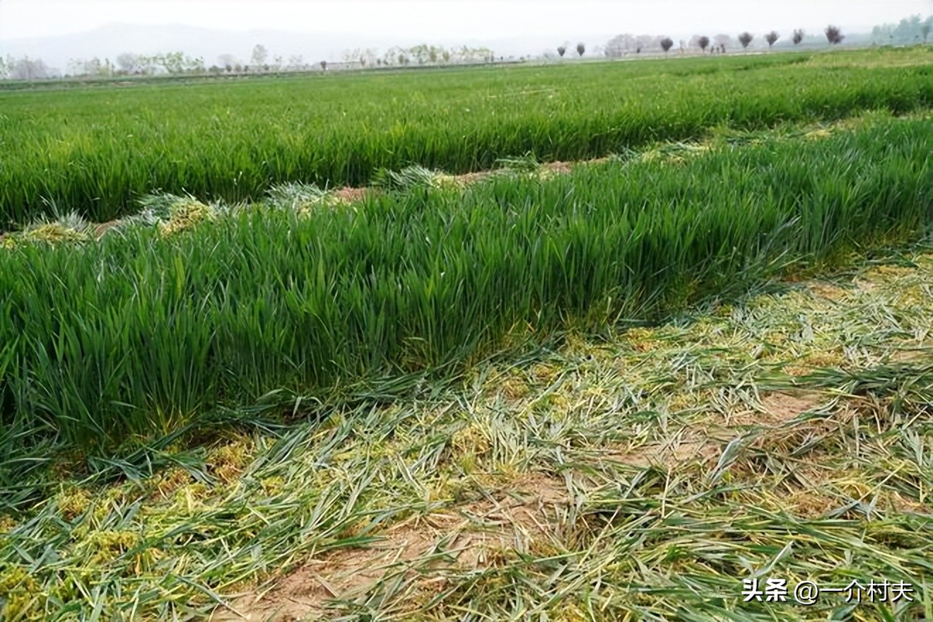 农村土地以后怎么耕种与承包,农村土地承包有没有变动