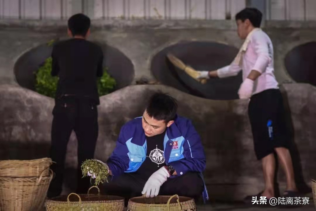普洱茶杀青的详细介绍,普洱茶之鲜叶篇