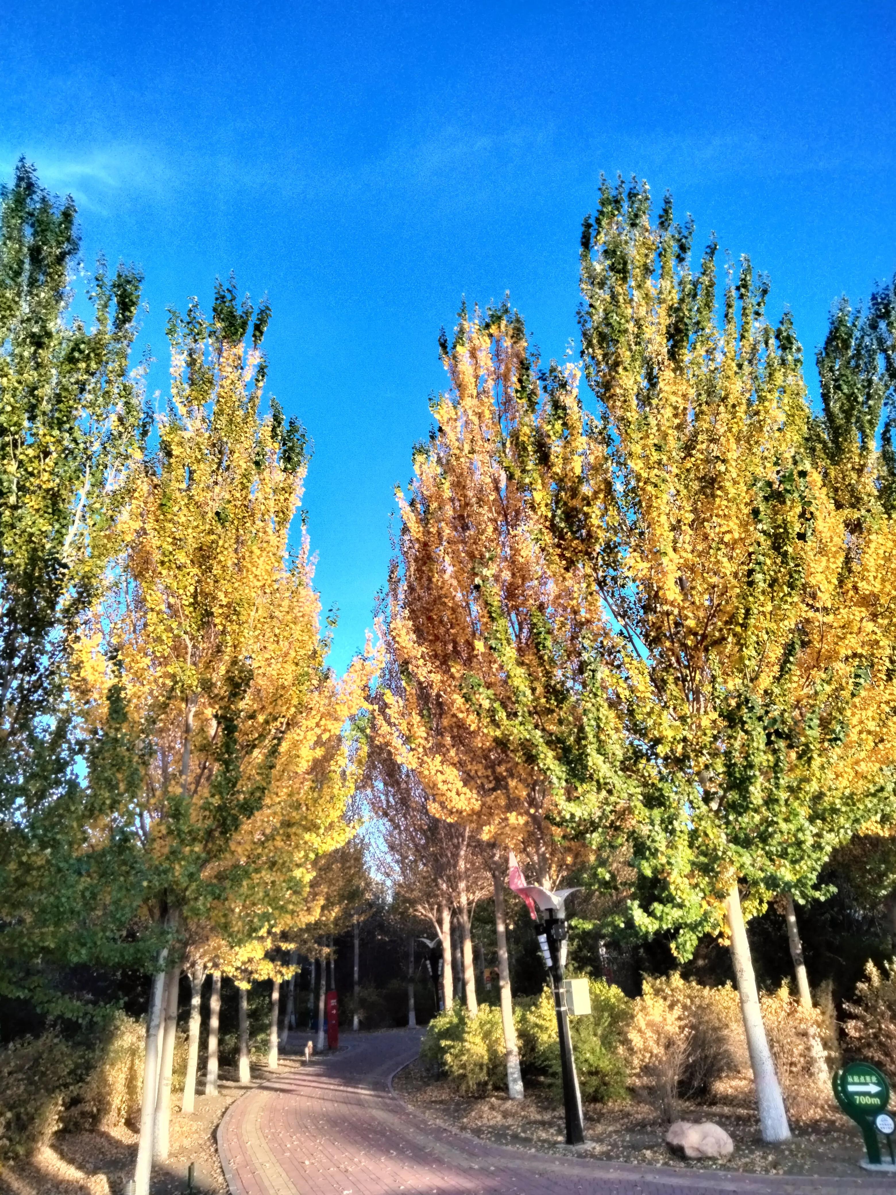 亲友群名片背景,家庭群名片