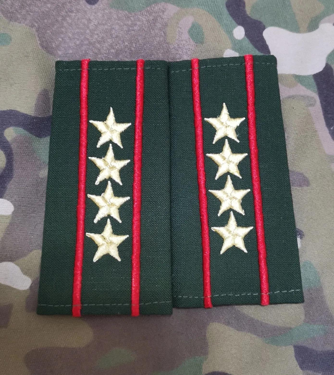 退役徽章欣赏（八七式*警武**警官套式警衔）