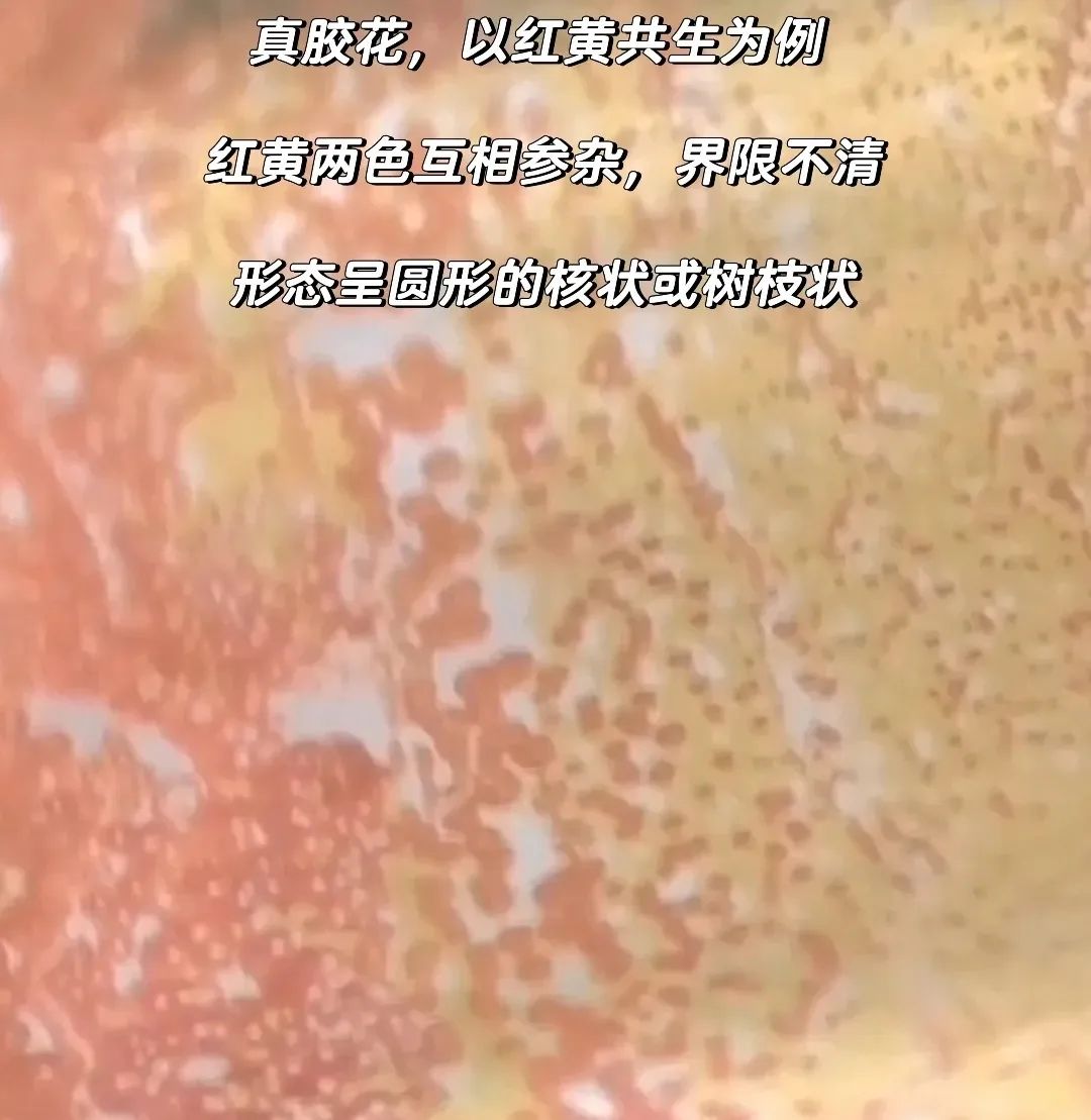 鍑ょ窘姘存櫠浠嬬粛 (涓轰粈涔堝彨鍑ょ窘姘存櫠)