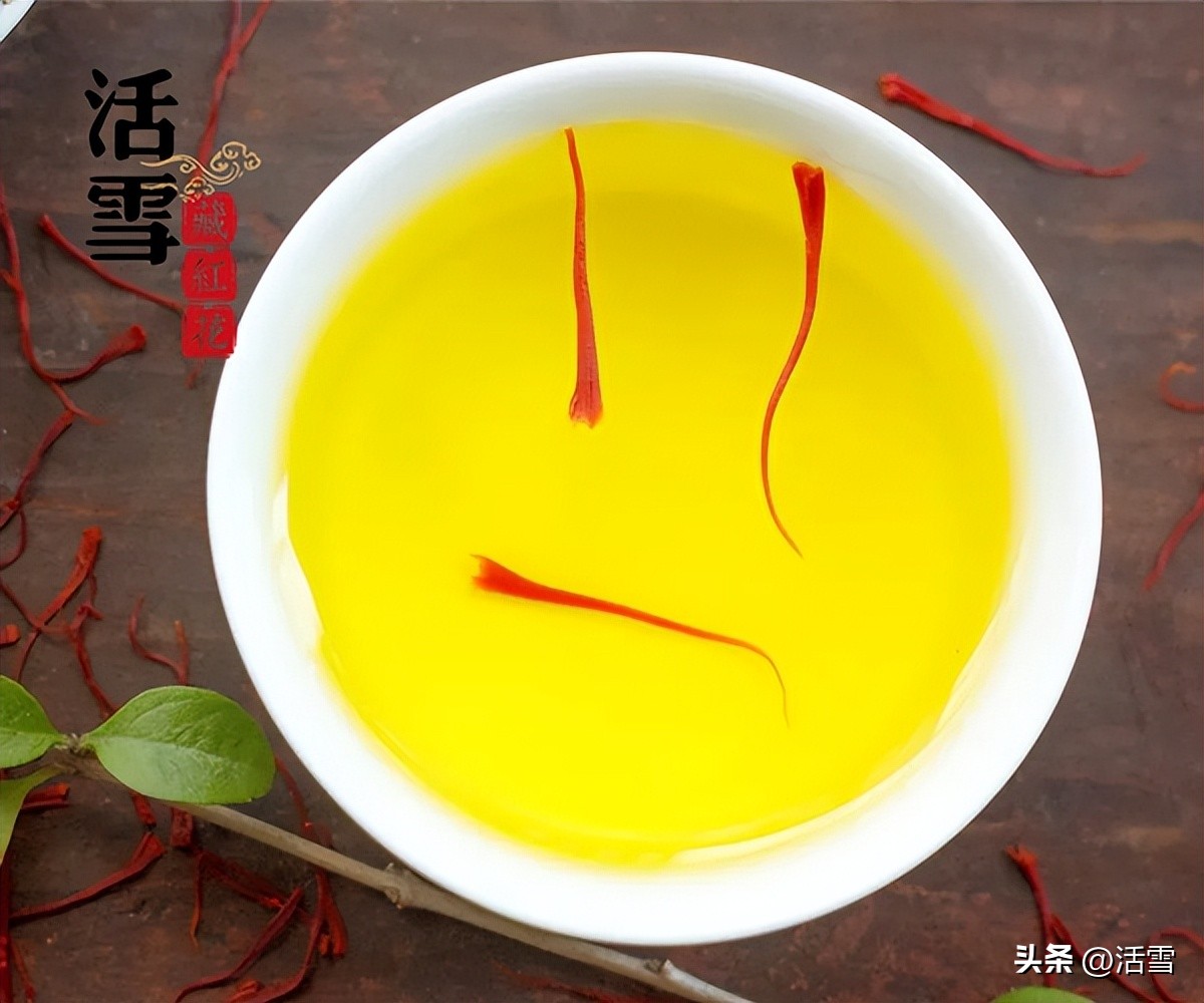 藏红花尹涛,活雪藏红花