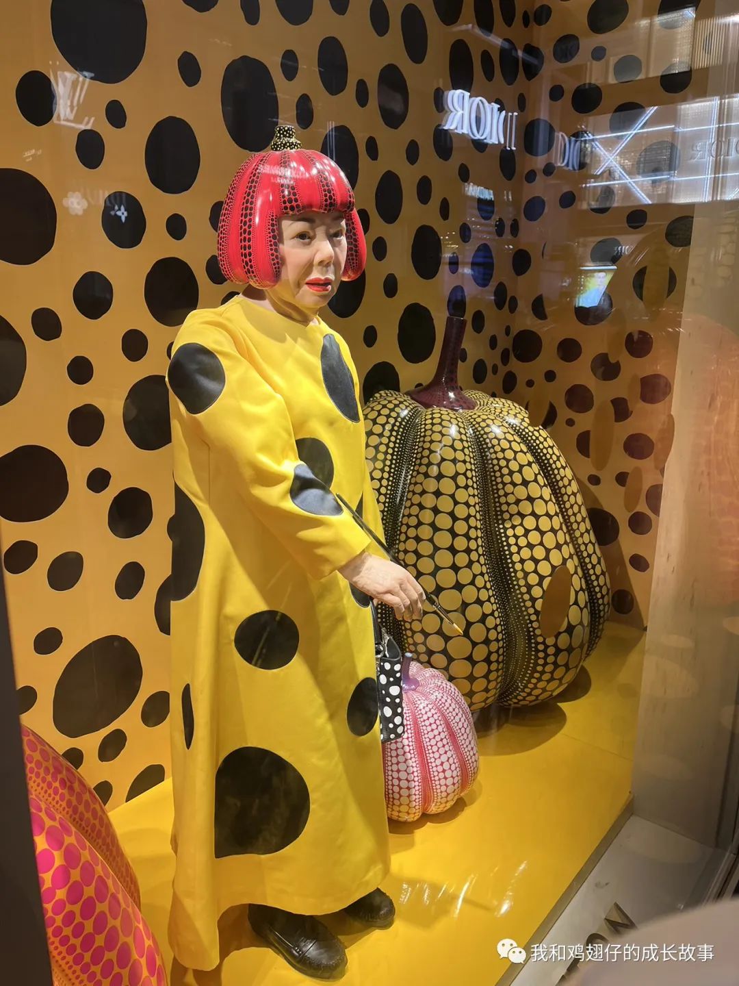 成都双流区特色美食排行榜前十名,成都建设路美食一条街详细地址