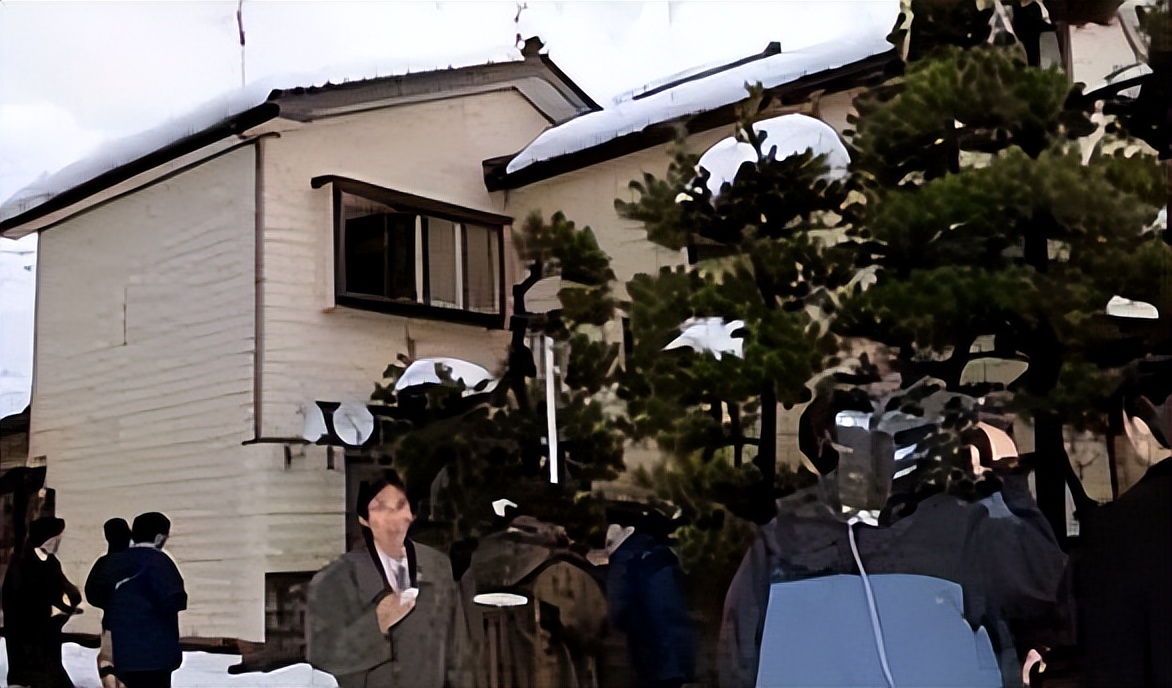 新泻少女监禁事件,九岁岛国少女遭肥宅十年监禁,最终因意外获救