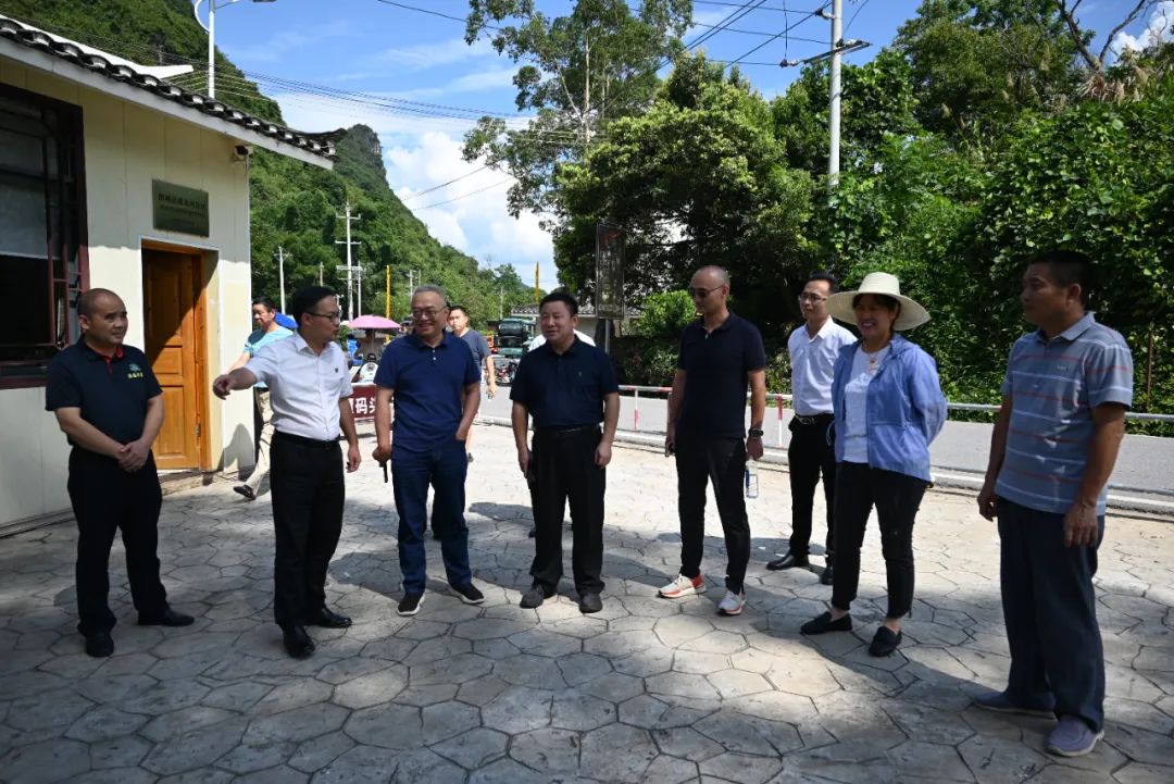 未来乡村建设——阳朔县莲峰讲堂（第二讲）开讲