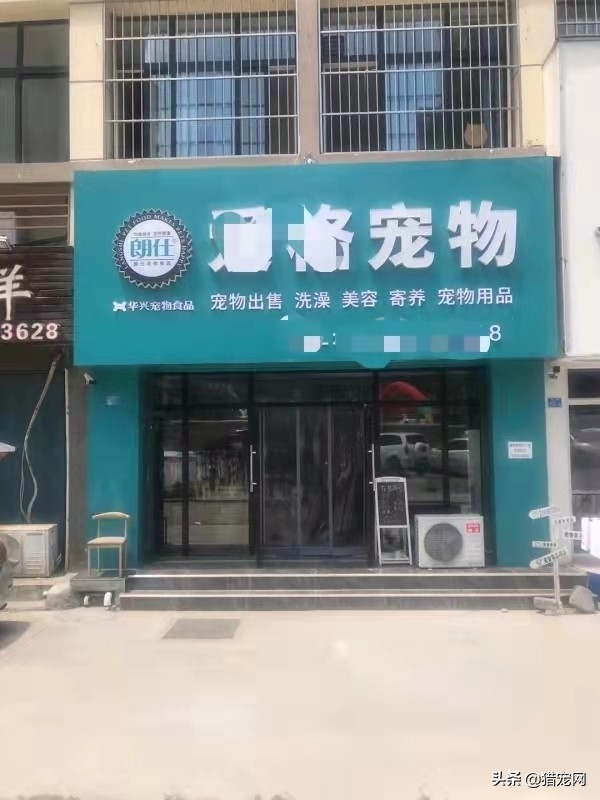 宠物店宠物美容师工资,宠物店美容师工资怎么拿的