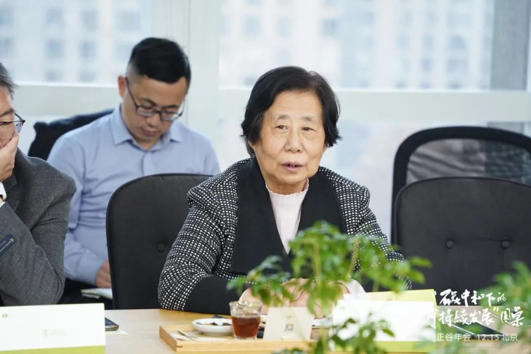 专家讲碳中和怎样实现,专家谈碳中和