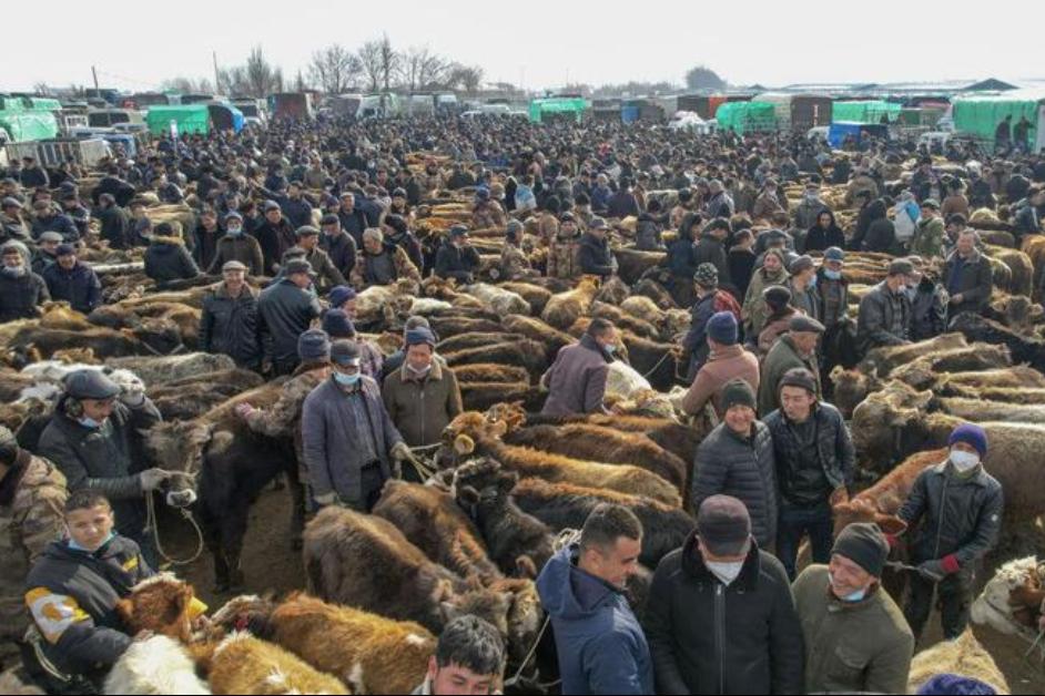 陕西历史回民战争,清末陕甘之乱西安汉民死亡多少