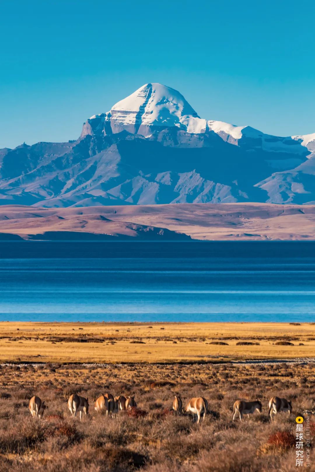 去青藏高原，看“千错万错”
