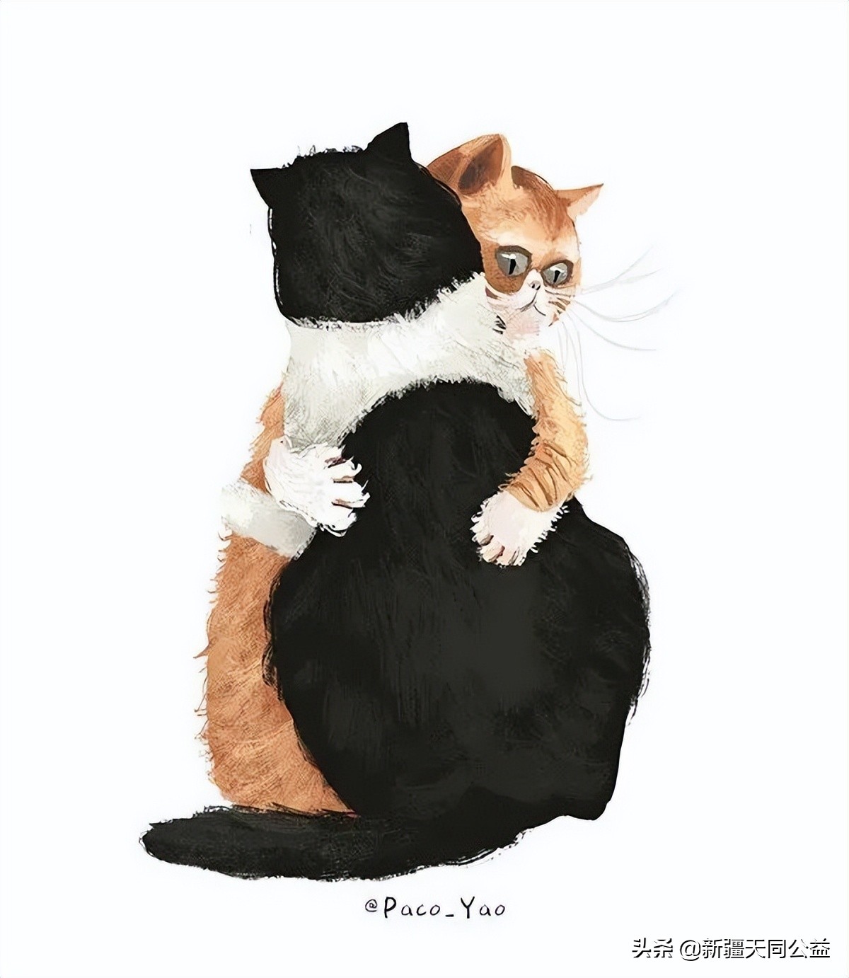 感染艾滋病生活怎么样,感染艾滋病后该怎么生活