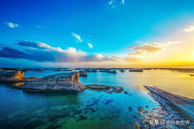 青海湟鱼那么多为什么要保护,救命的青海湖湟鱼