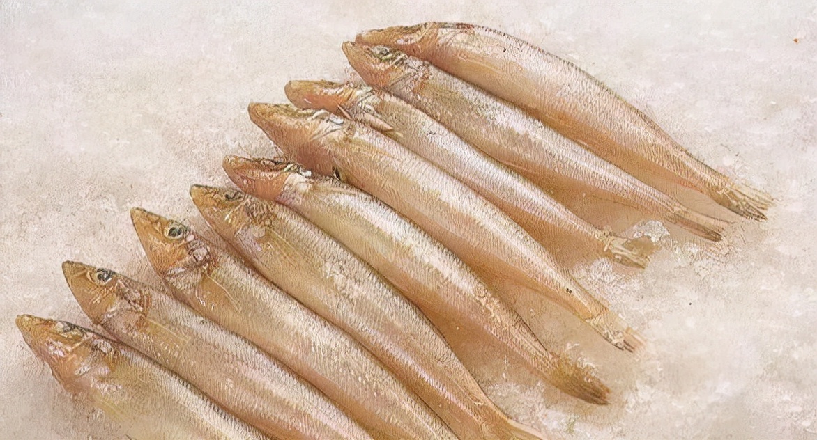 最常见的50种食用鱼吃法和价格,十种常用食用鱼类介绍