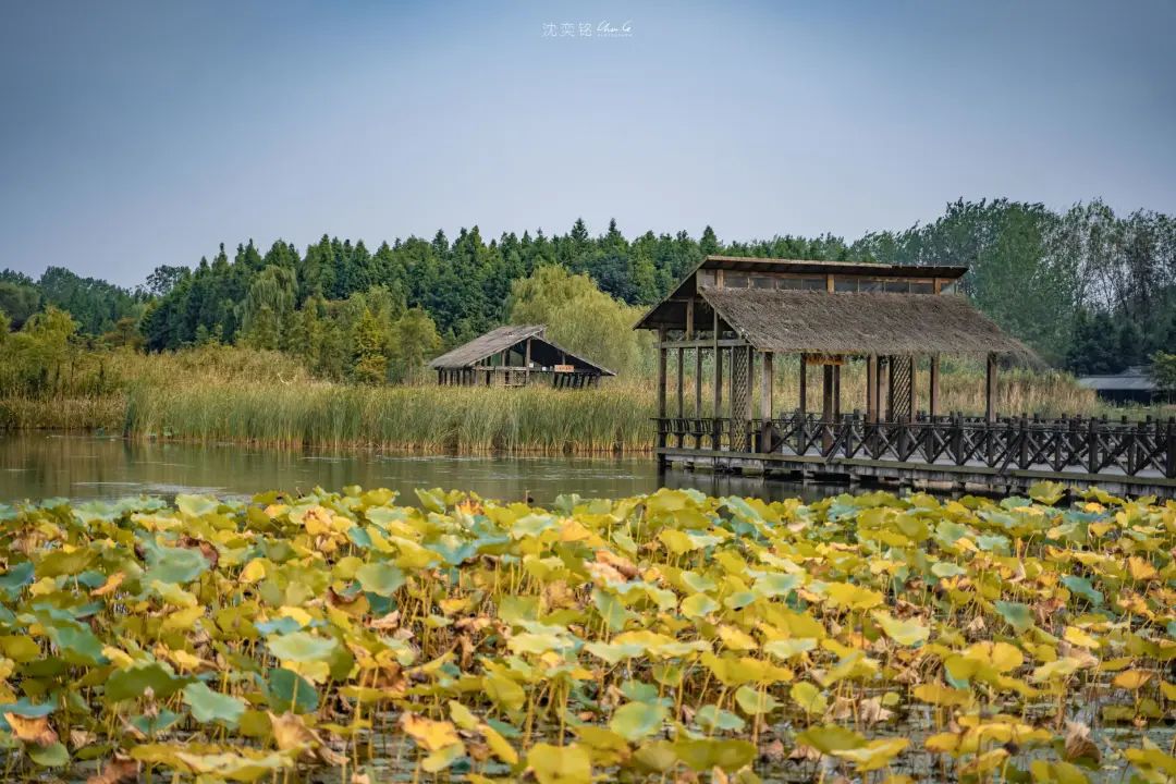 扬州值得推荐的早茶,广东早茶和扬州早茶真的没法比